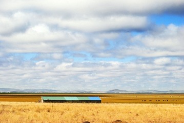 DSC_0262-1.jpg
