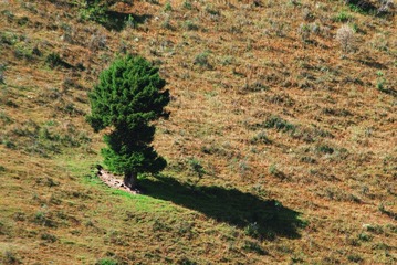 DSC_0272-1.jpg