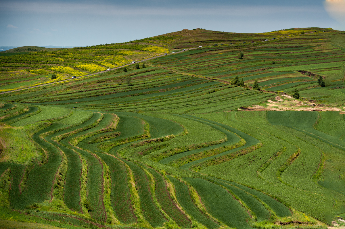 北方的梯田