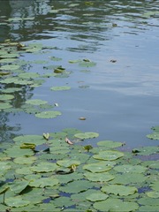 398909BB-394D-4224-864D-34CED66E7C74/L0/001