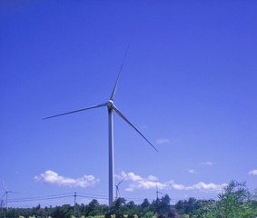 CB0B6D2E-4545-469A-A9E0-B18EA256CED1/L0/001