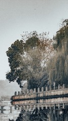 A229CE06-F006-414B-BE00-21D23697C8F1/L0/001