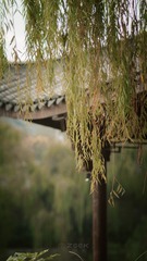3BF24B7F-3E46-406B-A7F3-78CCD6E2034D/L0/001