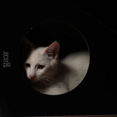 001