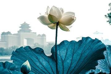 001
