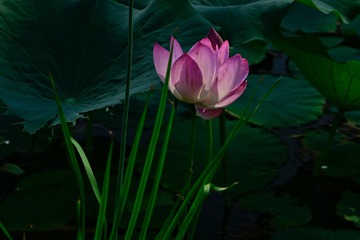 697D9EAD-B9BC-40BA-A655-9955D40871EF/L0/001