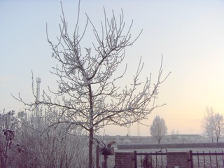 SDC10497_副本