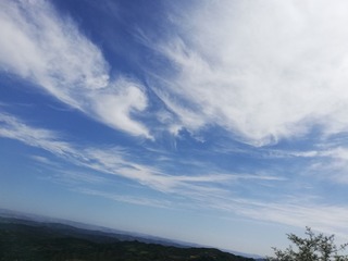 271842