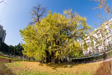 IMGP0171