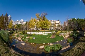 IMGP0211