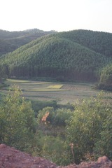 977983