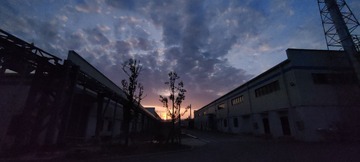 1000061668