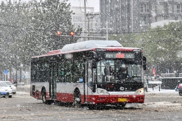 48494