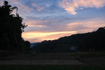 7E503F92-4D09-4A39-B8DD-BF2E196C24F7/L0/001