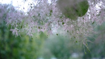 12C1731B-73AE-4CDD-8BC6-42CCB13CC168/L0/001