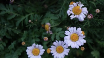 B7A79D72-71C4-443F-9C5A-812EF39535F3/L0/001