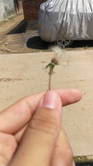 347707