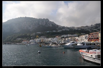 DSC_0100.jpg