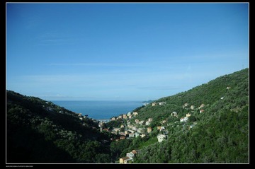 DSC_8167.jpg