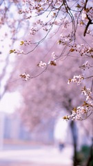 C4811A49-460B-4EEC-A2D7-6C668A6DF6A6/L0/001