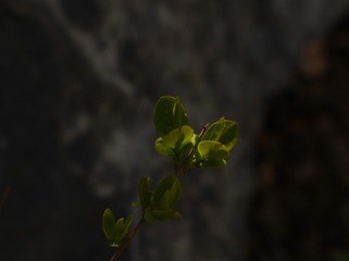 864815