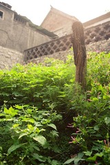 博山鄉間