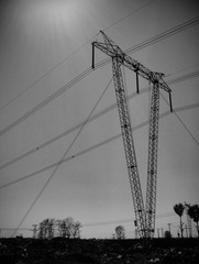 Wire Pole