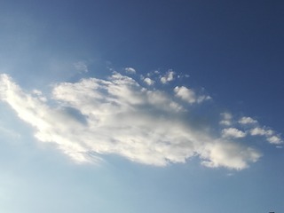 125156