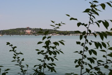 F36A35B4-07F8-4110-8C0A-219411BB05BB/L0/001