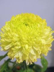 9D91F7BA-C8B1-4ECE-BB34-96F9BE1DF979/L0/001