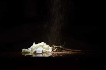 265076