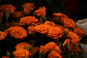 0F139D5A-CAEE-45B5-9E80-84138312B9F8/L0/001