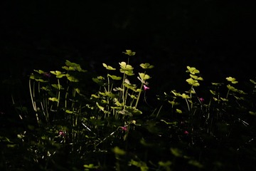 FC8B3F21-F6E8-41C7-A4E1-D3650A6F253F/L0/001