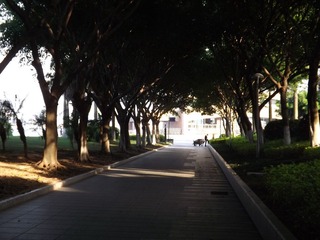 DSCF0671.JPG