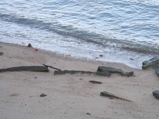 DSCF0674.JPG