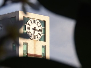 鸡蛋花掩映下的学校钟楼.JPG