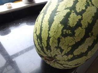 DSCF1669.JPG