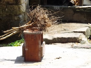 DSCF1747.jpg