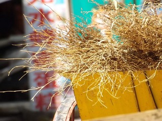 DSCF1739.JPG