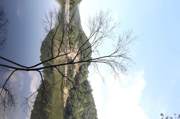 DSCF2224.JPG