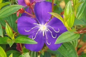 DSCF2328.JPG