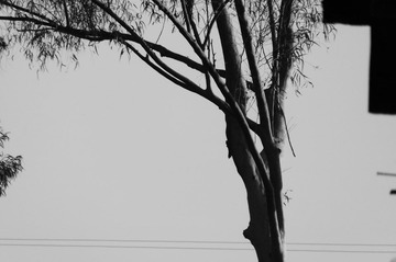 DSCF2084.JPG