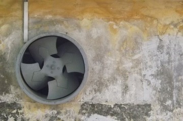 DSCF2386.JPG