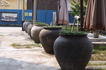 DSCF2426.JPG