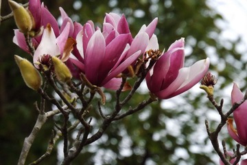 DSCF4832.JPG