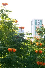 DSCF4564.jpg
