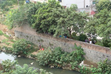 DSC04924.JPG