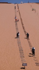 IMG_5280