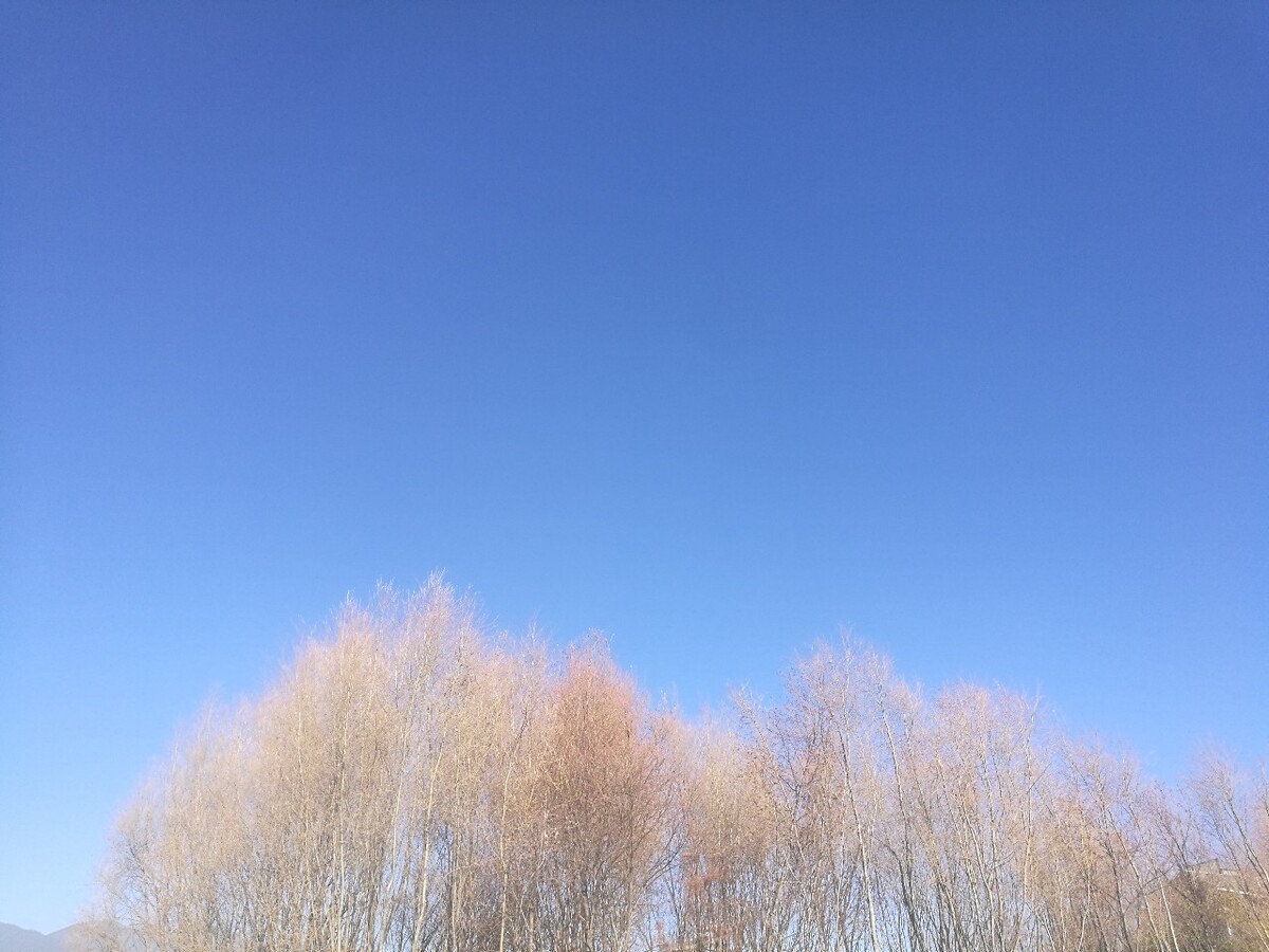 大理洱海