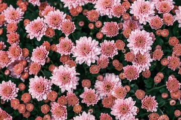 F8415E2E-8484-46C1-A919-447A8E010B75/L0/001